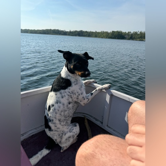 Hi, I’m Libby! 🤍 It’s great to meet you! - Picture 5 of 7